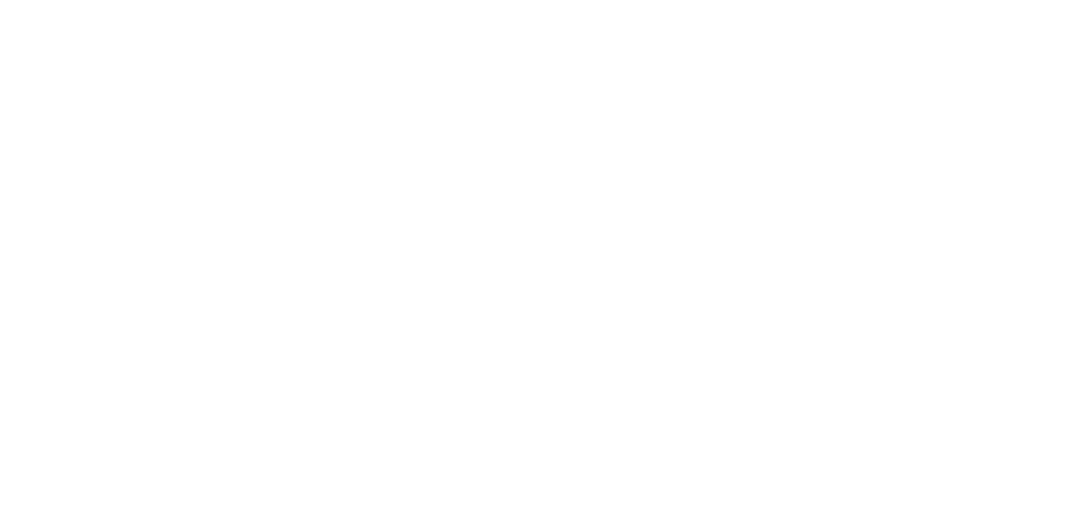 Ocean Link Global logo — Ocean Link Global — international freight forwarding and logistics company supporting import and export compliance.