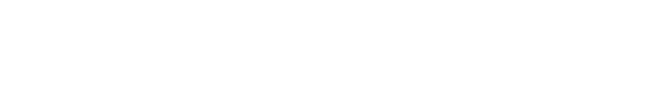 Gebrüder Weiss logo — Gebrüder Weiss — global transport and logistics provider offering freight forwarding and customs clearance services.