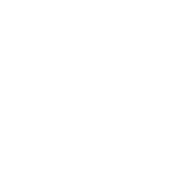 Blue Ridge International logo — Blue Ridge International — international trade and logistics company using BITE for trade compliance.